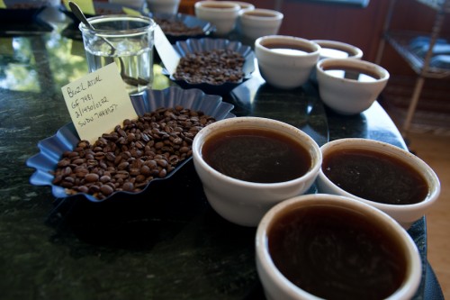 Cupping in the Coffee Lab