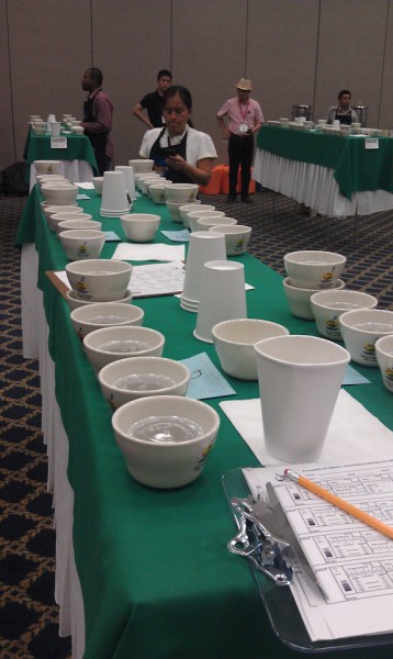 Preparing for a cupping